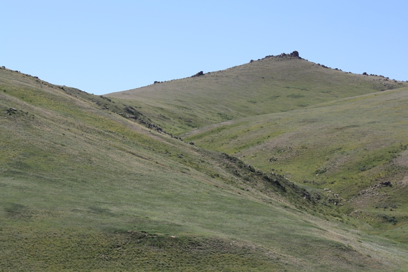  Khustain National Park, Mongolia