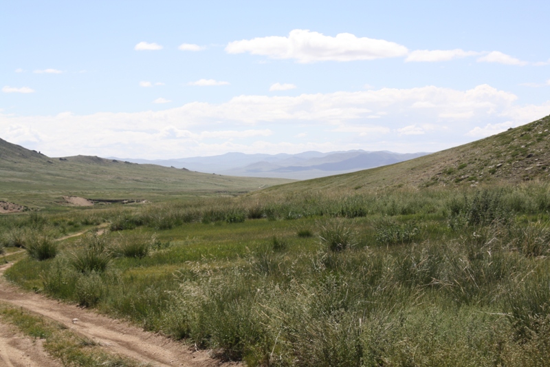  Khustain National Park, Mongolia