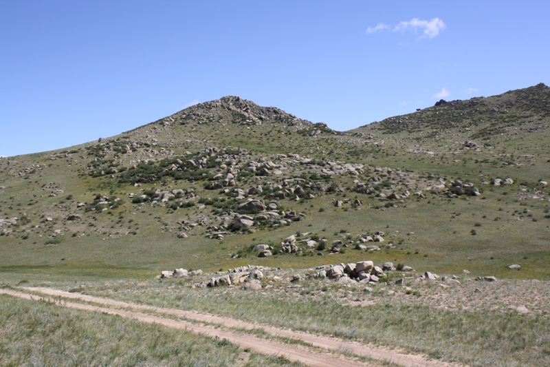  Khustain National Park, Mongolia