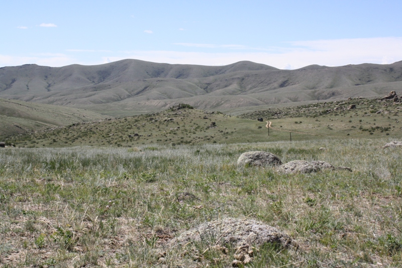  Khustain National Park, Mongolia