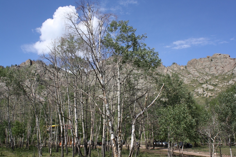 Terelj National Park, Mongolia