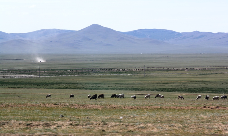 Central Mongolia