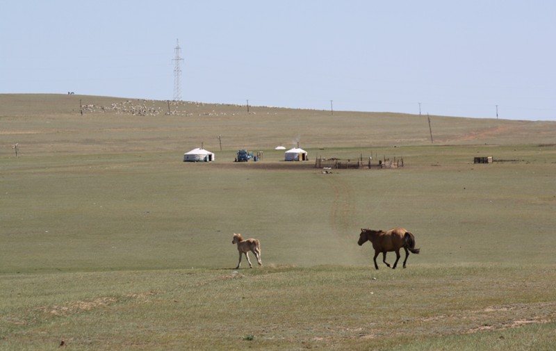 Central Mongolia