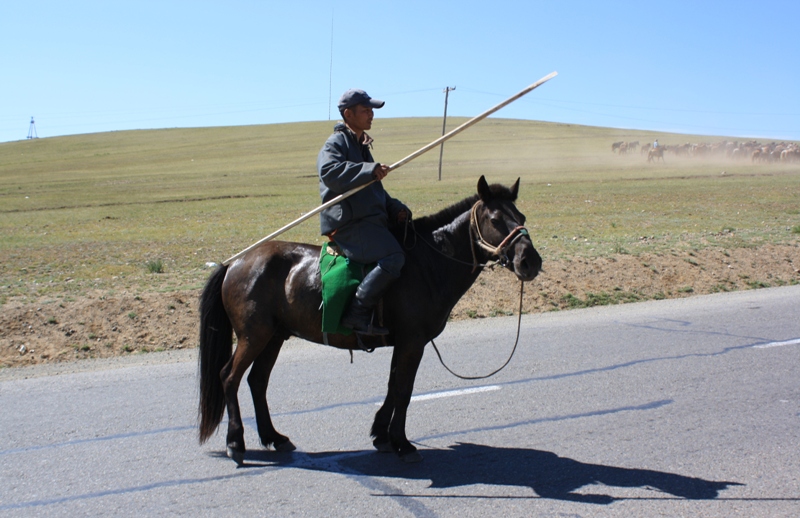 Central Mongolia