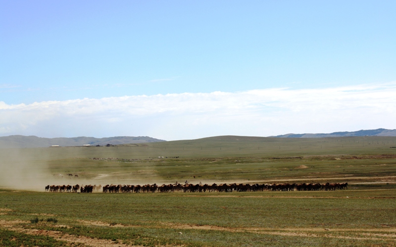 Central Mongolia