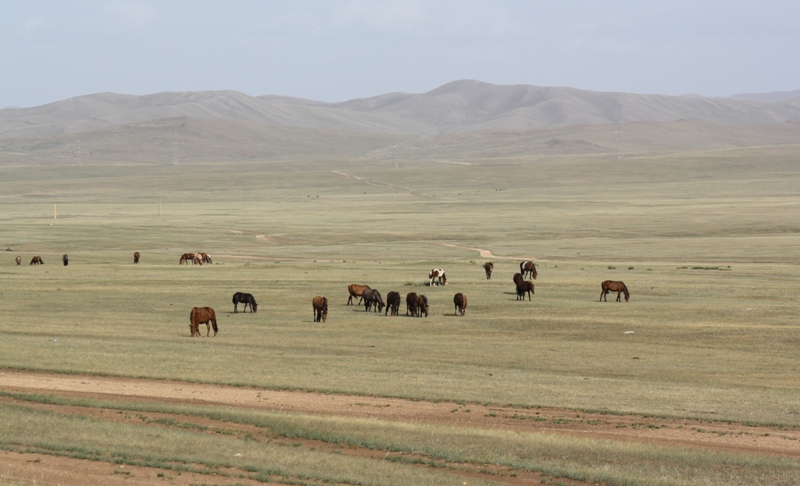 Central Mongolia