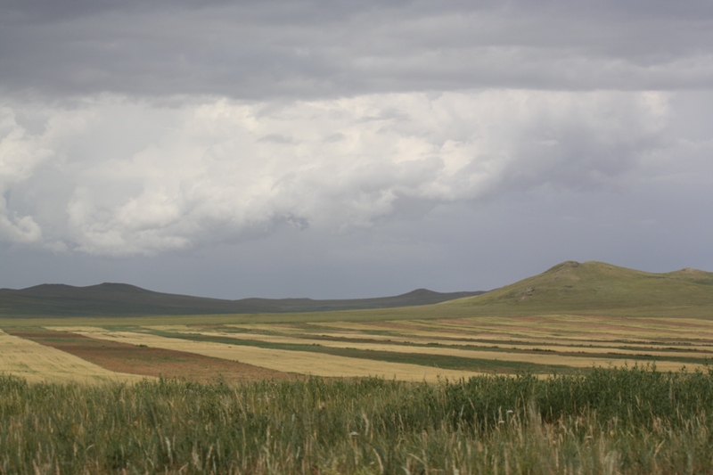 Central Mongolia