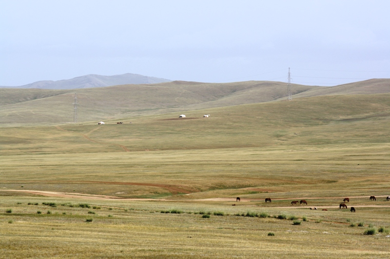 Central Mongolia