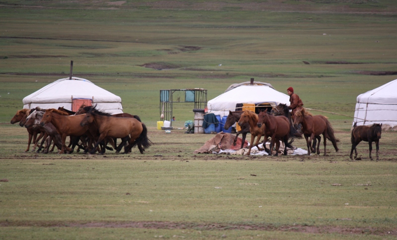 Zuunmod, Mongolia