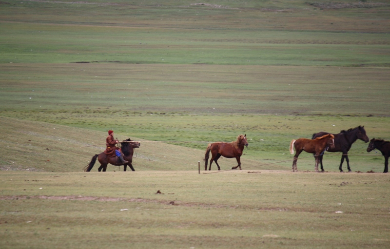 Zuunmod, Mongolia