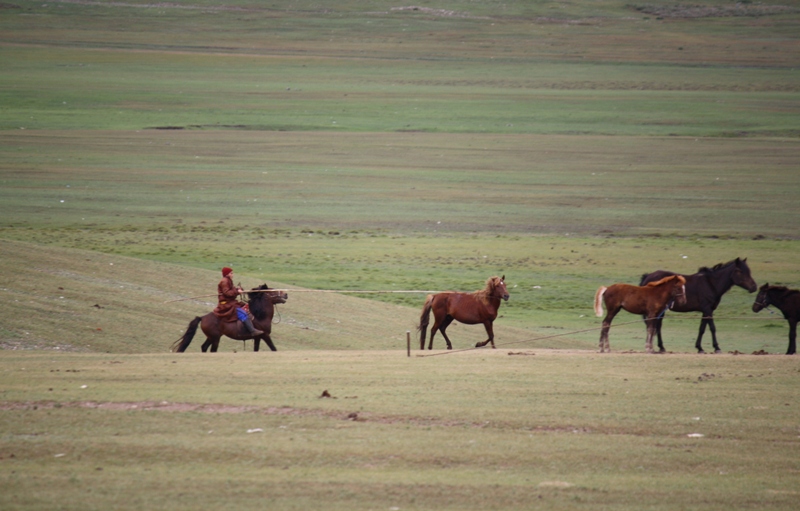 Zuunmod, Mongolia