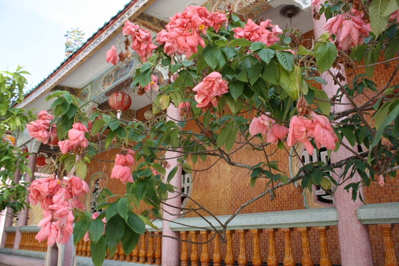 Mongkon Buppharam Chinese Temple, Chanthaburi, Thailand