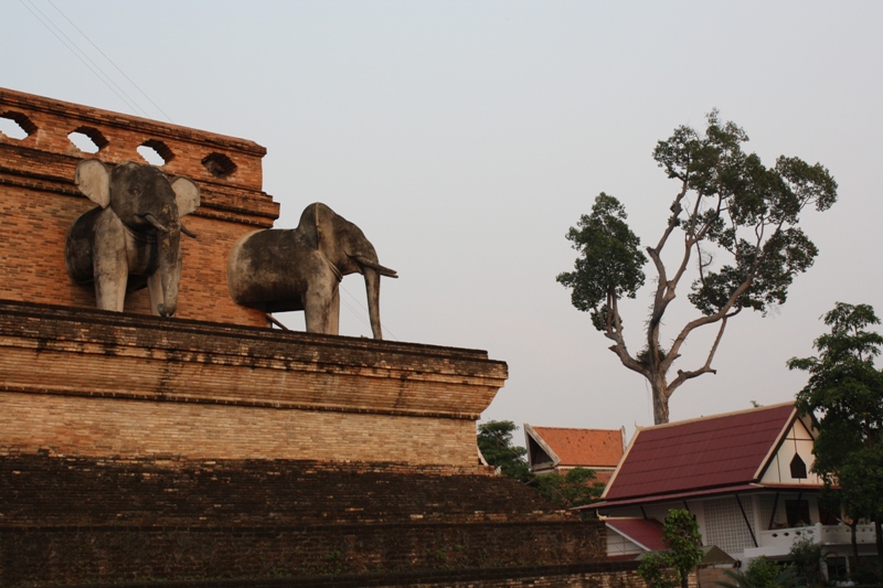  Wat Chedi Luang Varaviharm, Chiang Mai 