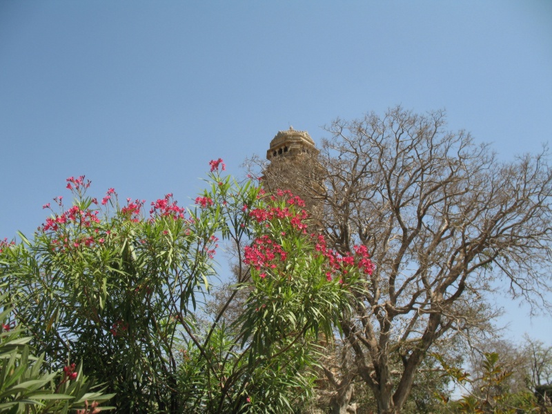 Chittorgarh Fort. Rajasthan, India