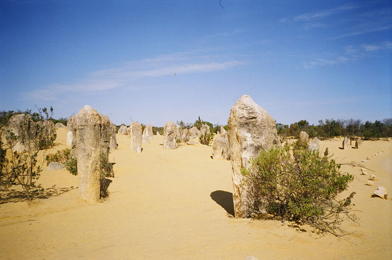  The Pinacles Desert, Western Australia