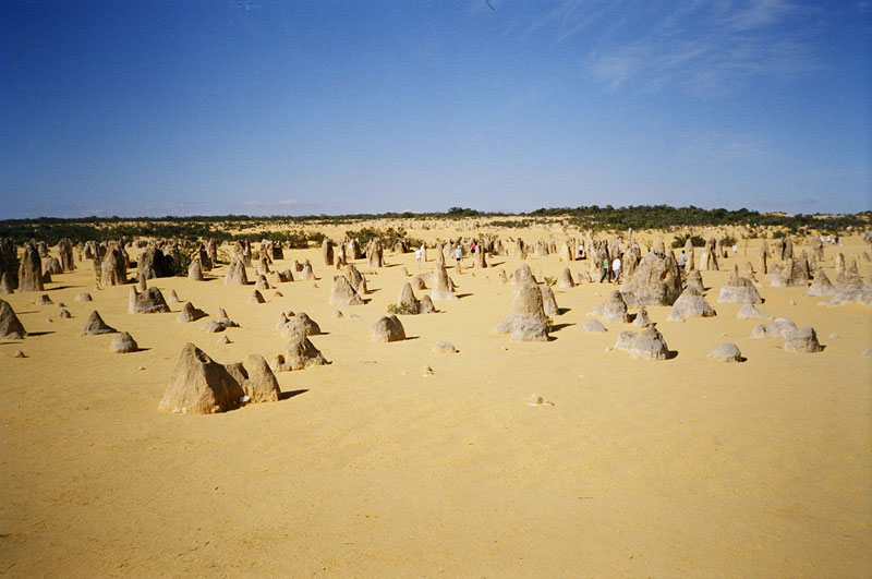  The Pinacles Desert, Western Australia