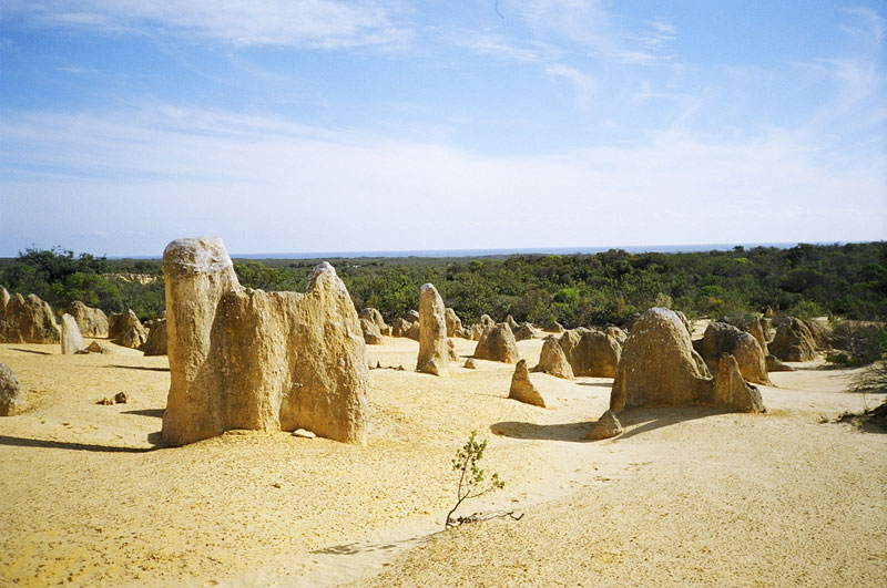  The Pinacles Desert, Western Australia