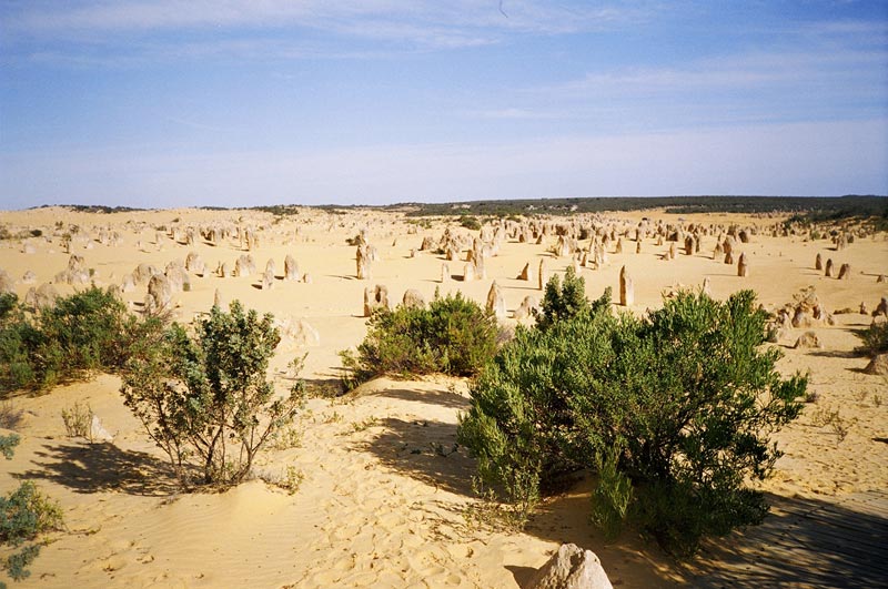  The Pinacles Desert, Western Australia