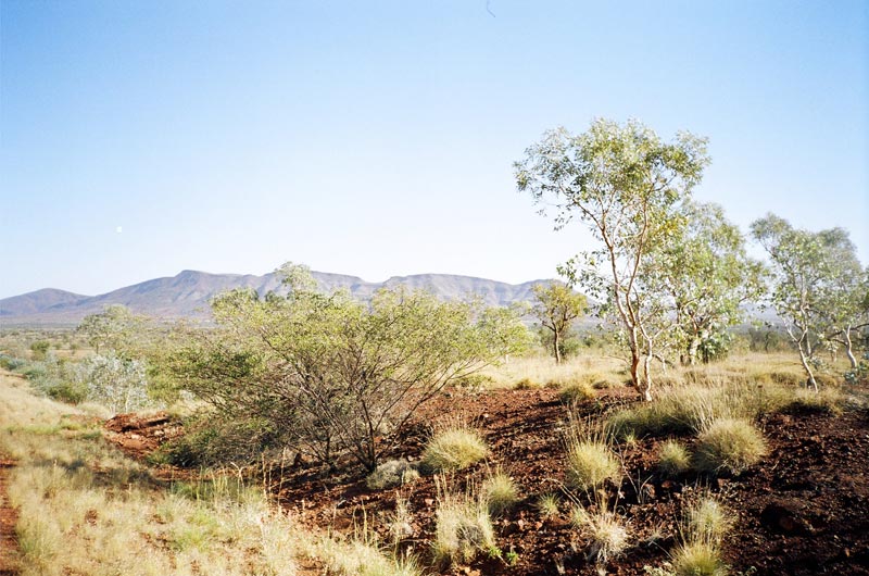 Karijini National Park, Western Australia