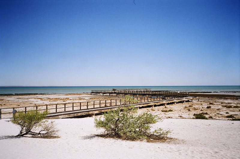 Hamelin Pool, Cape Peron, Western Australia