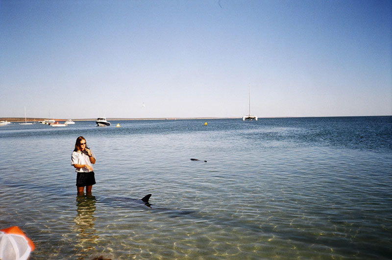 Monkey Mia, Cape Peron, Western Australia