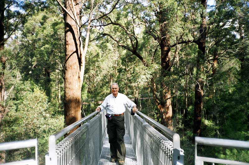 Tree Top Walk,  SW Australia