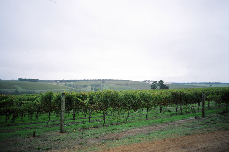 Southwest Australia