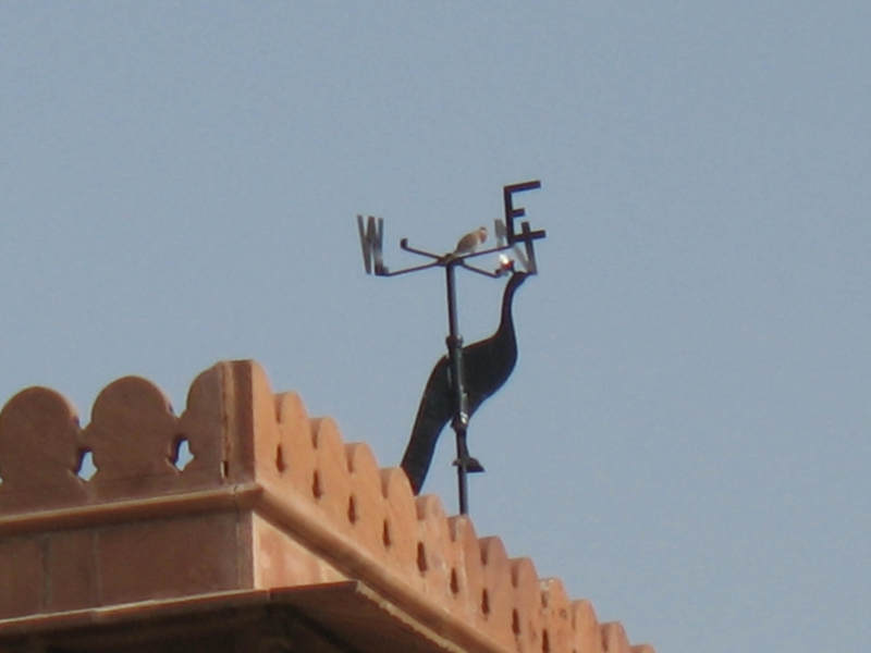  Lalgarh Palace. Bikaner, Rajasthan, India 