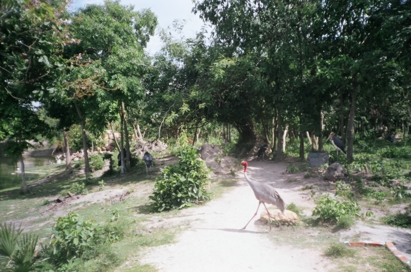 Phnom Chisor, Cambodia