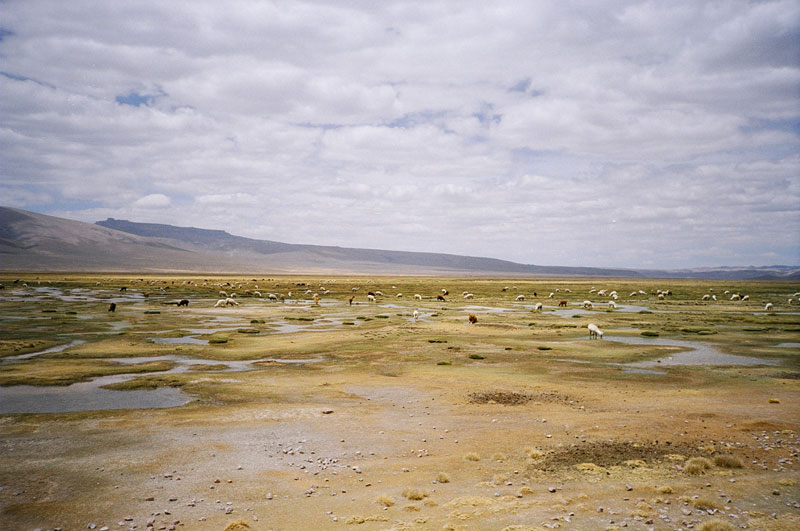 High Plains Desert, Peru