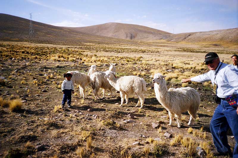 Altiplano Loco, Peru