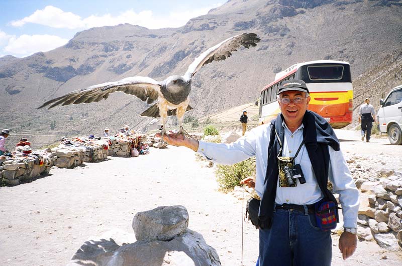 Colca Canyon, Peru