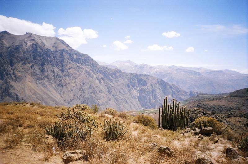 Colca Canyon, Peru