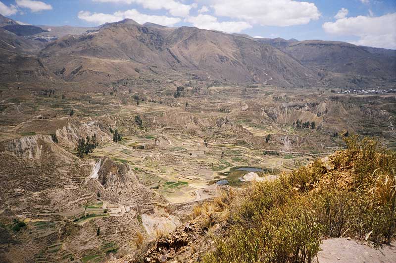 Colca Canyon, Peru