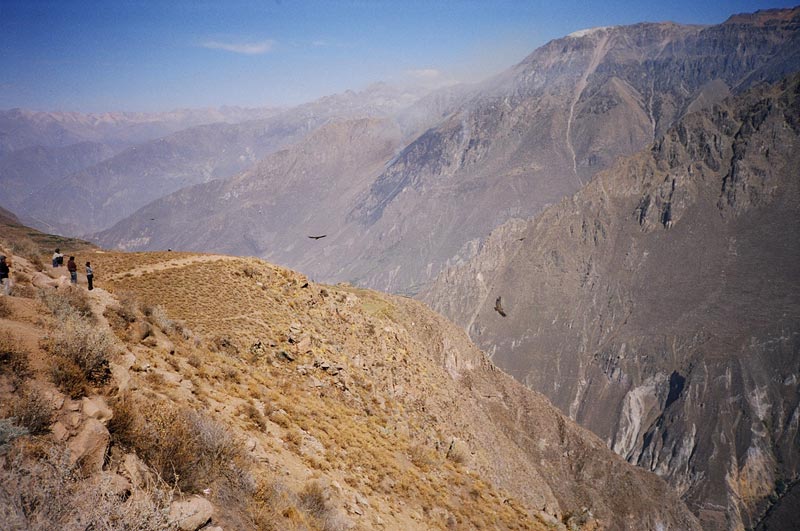 Colca Canyon, Peru