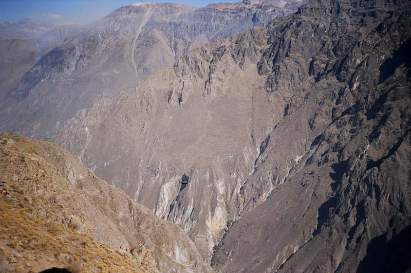 Colca Canyon, Peru