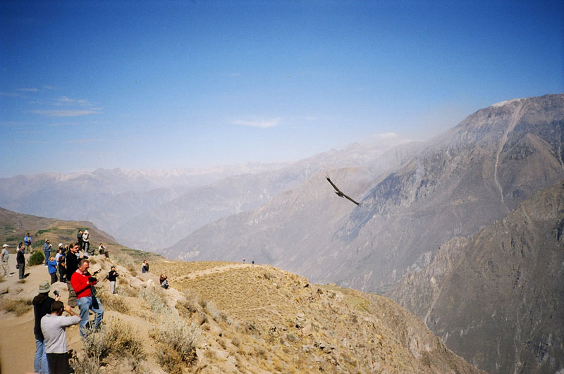 Colca Canyon, Peru