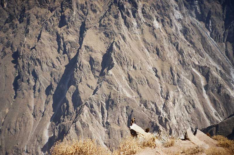 Colca Canyon, Peru