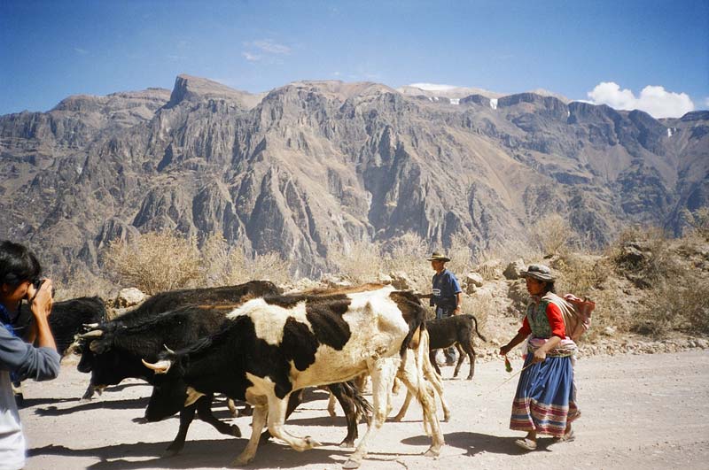 On the Road in Peru