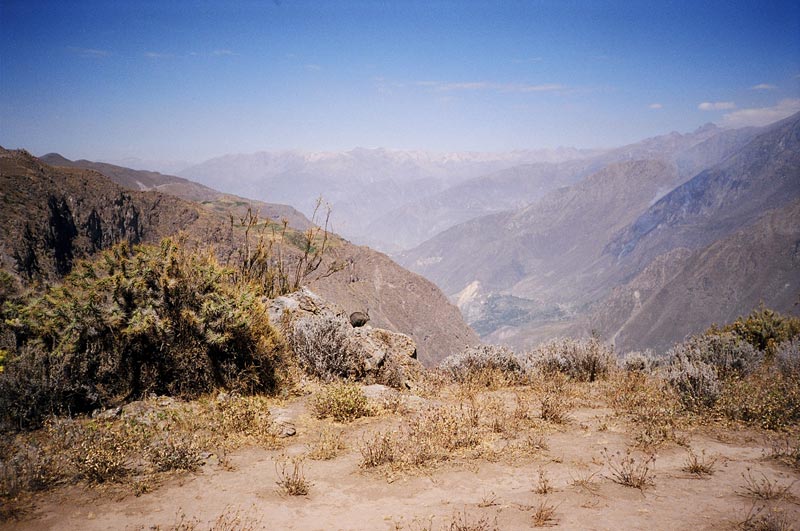 Colca Canyon, Peru