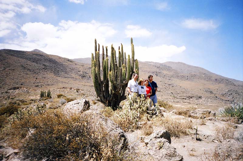 Colca Canyon, Peru