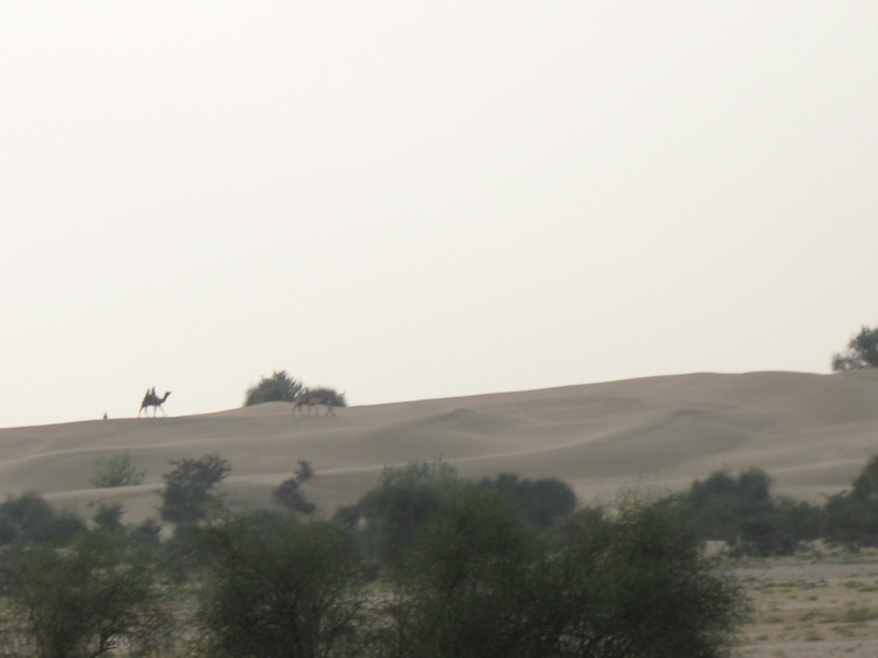 Jaisalmer, Rajasthan, India