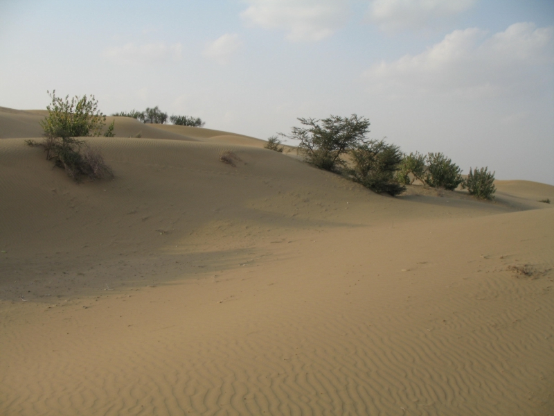 Jaisalmer, Rajasthan, India