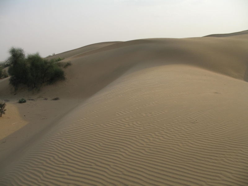 Jaisalmer, Rajasthan, India