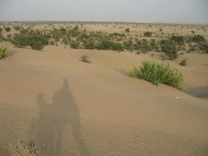 Jaisalmer, Rajasthan, India