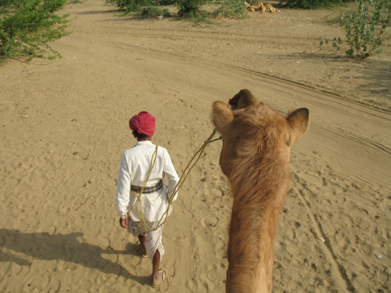 Jaisalmer, Rajasthan, India