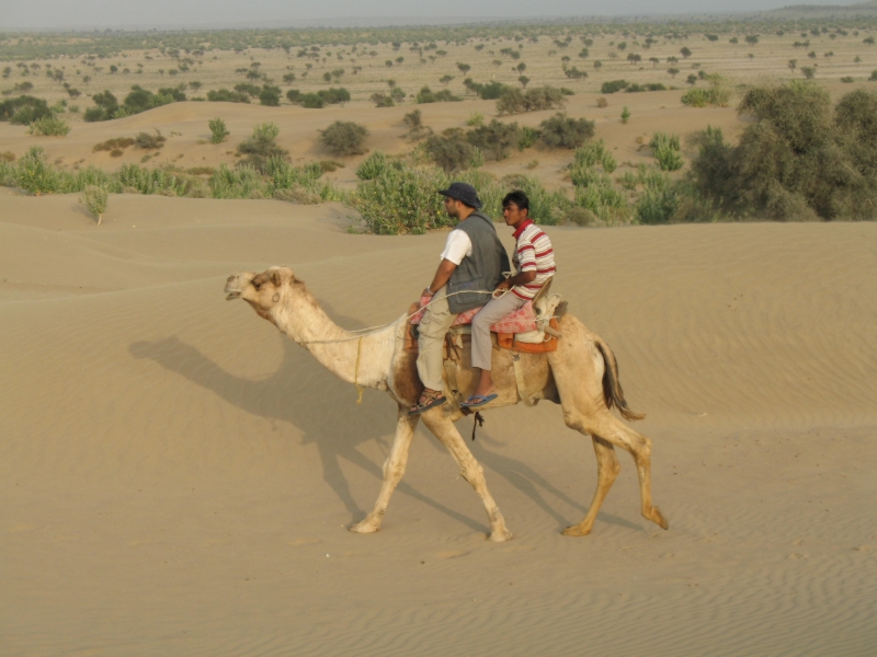 Jaisalmer, Rajasthan, India