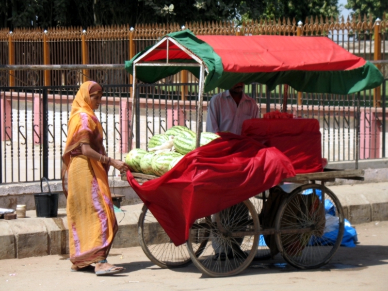 Gujarat, India