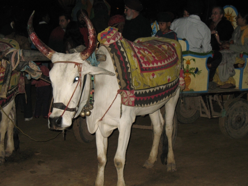 Chokhi Dhani Amusement Park, Jaipur, India