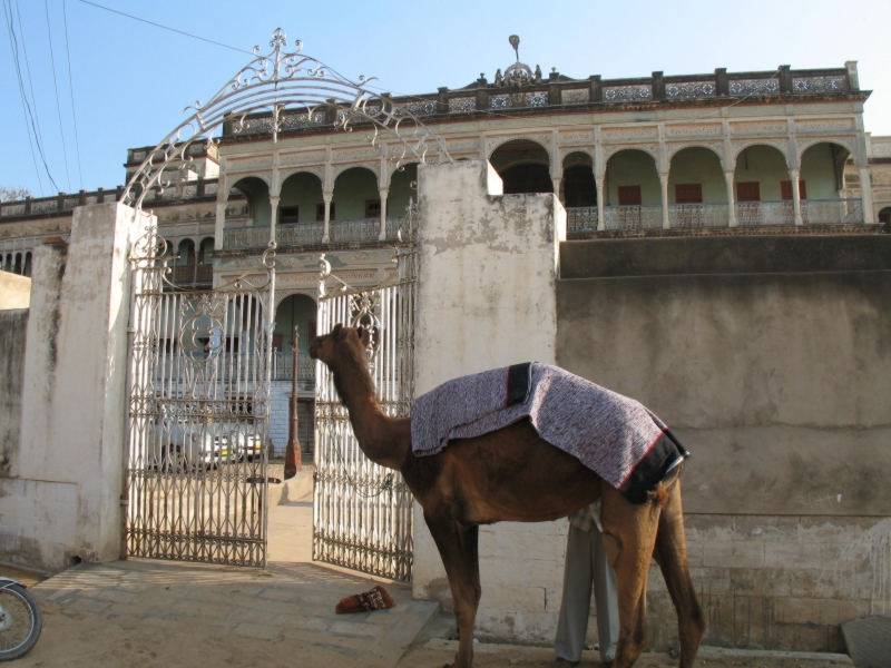 Seksaria Haveli, Nawalgarh, India 